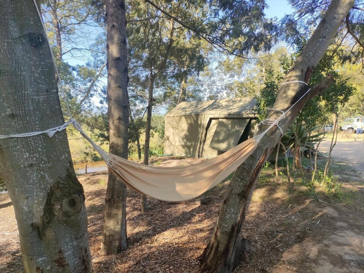 Campsite Gaia Off-grid *